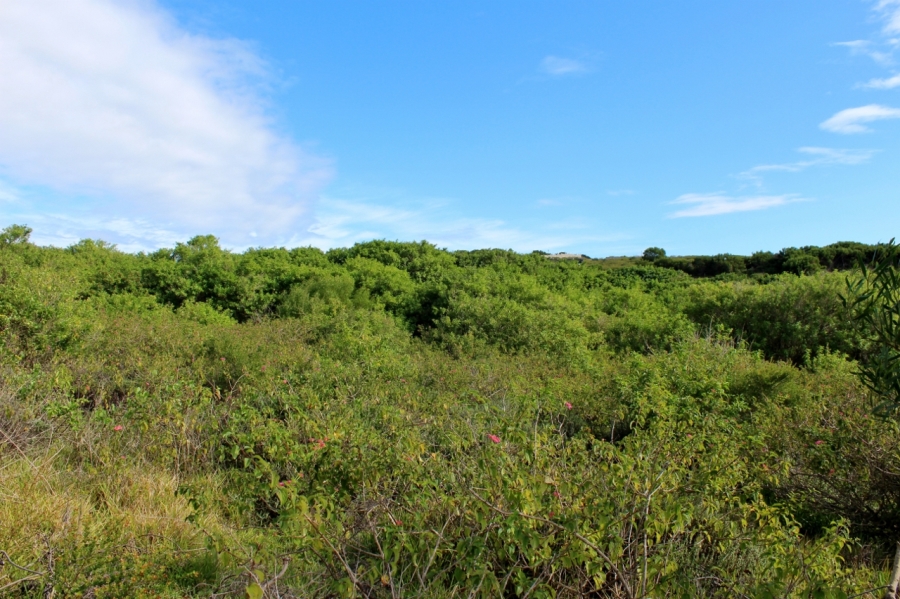0 Bedroom Property for Sale in West Bank Eastern Cape